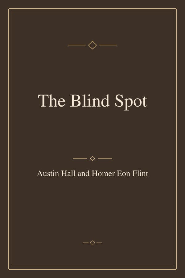 The Blind Spot book cover