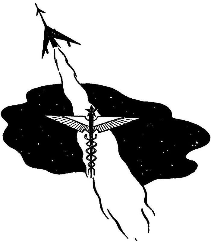 Star Surgeon book cover