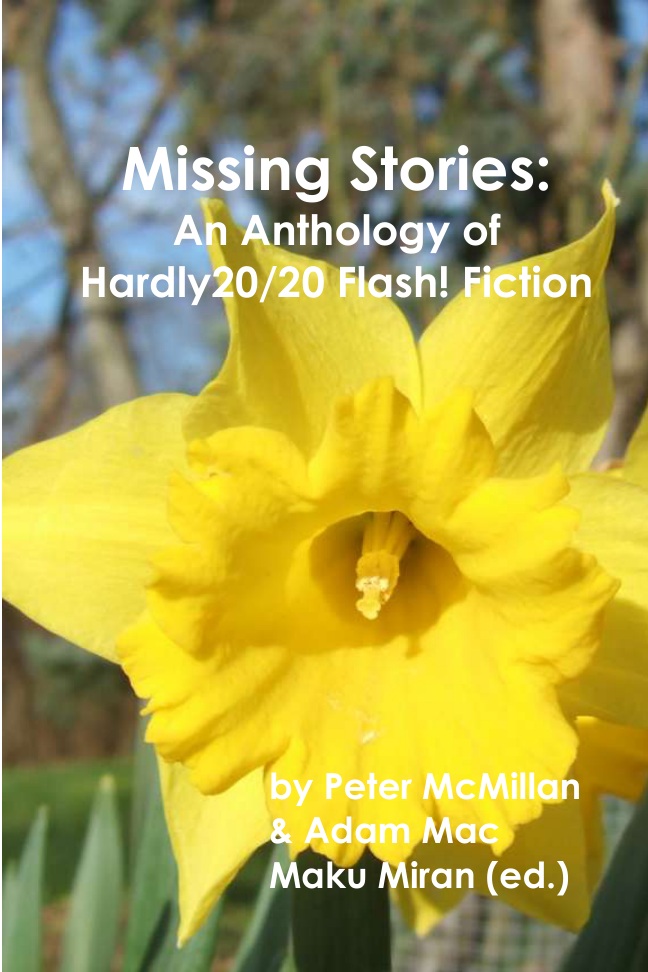 Missing Stories: An Anthology of Hardly 20/20 Flash! Fiction book cover