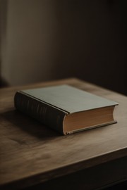 Freckles book cover