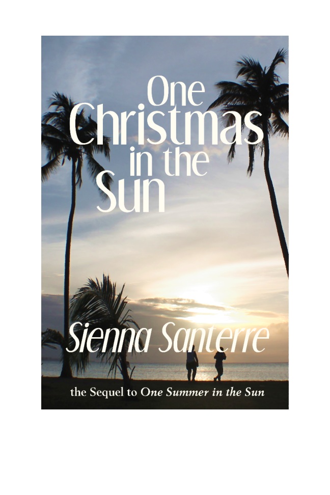 One Christmas in the Sun book cover