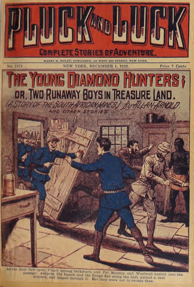 The young diamond hunters, or, Two runaway boys in treasure land book cover