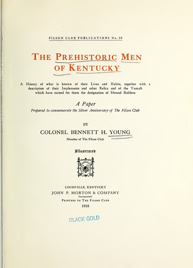 The Prehistoric Men of Kentucky book cover