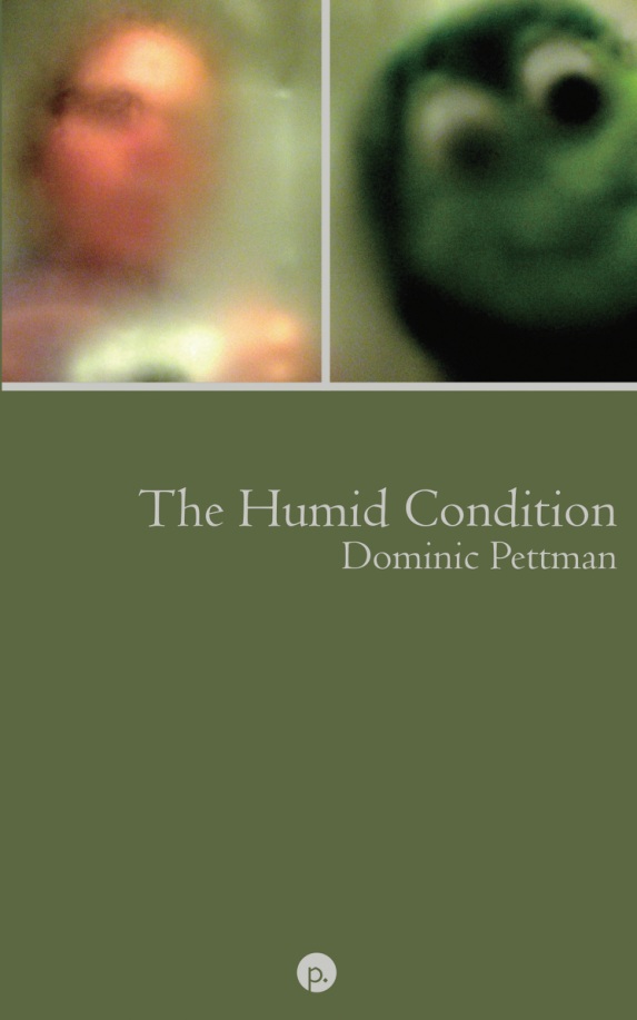 The Humid Condition: (More) Overheated Observations book cover