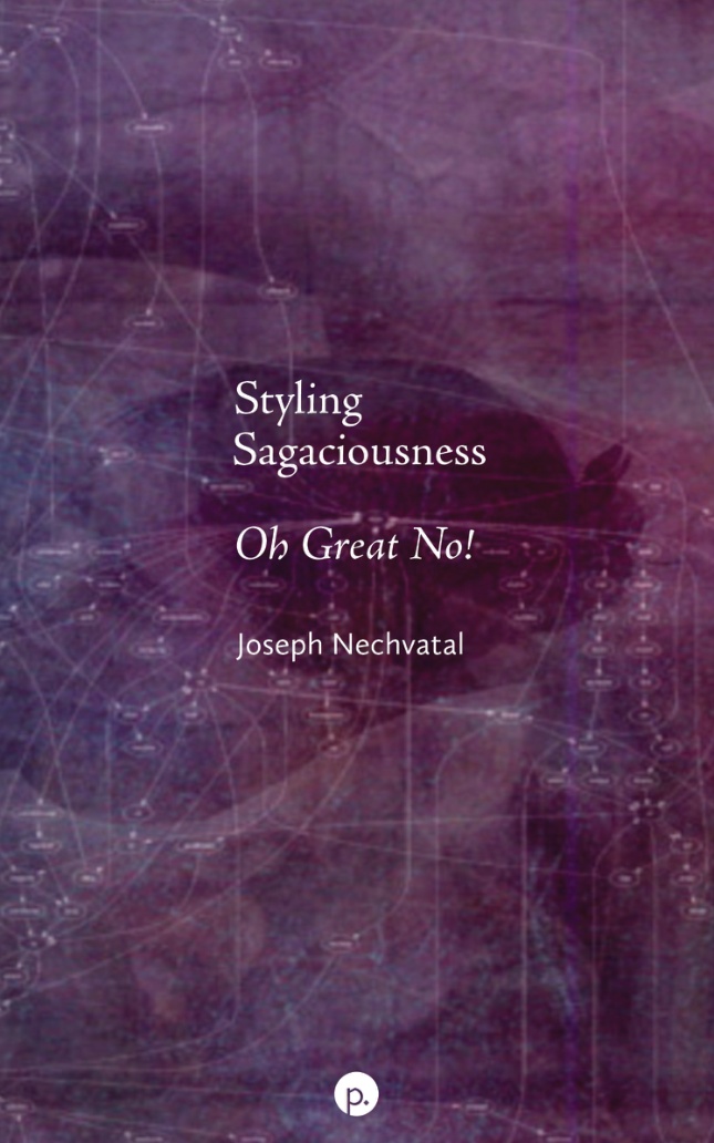 Styling Sagaciousness: Oh Great No! book cover