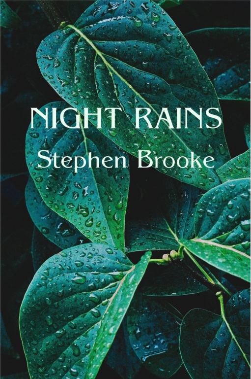Night Rains book cover