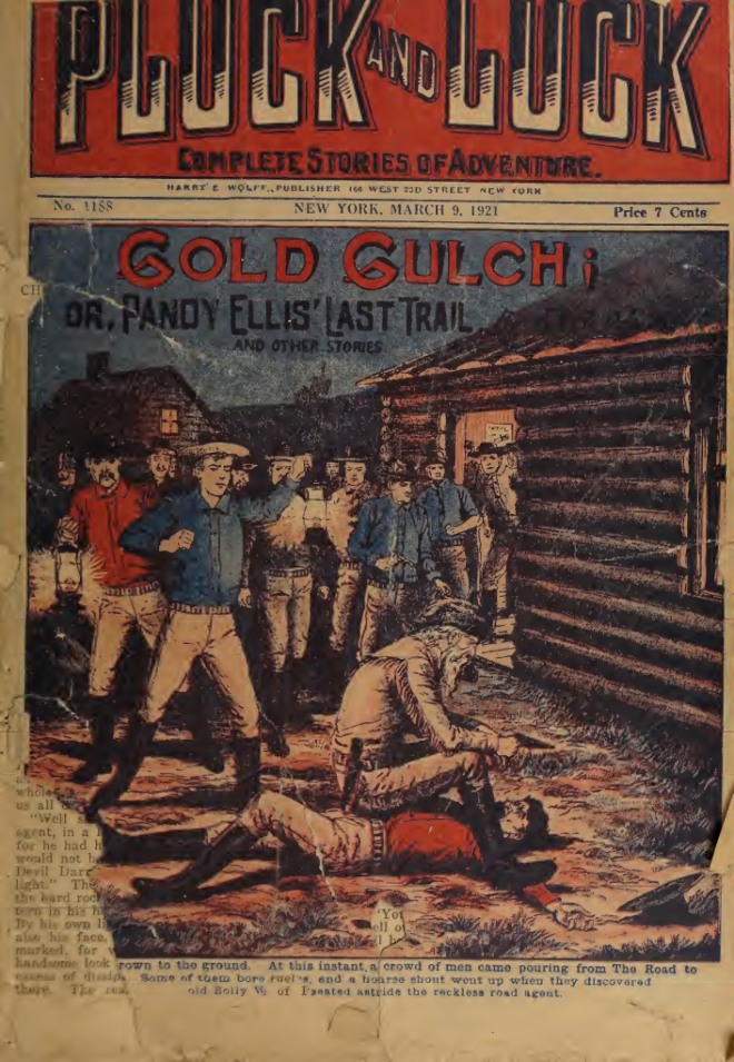 Gold Gulch, or, Pandy Ellis' last trail book cover
