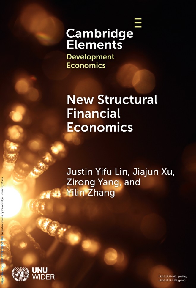 New Structural Financial Economics book cover