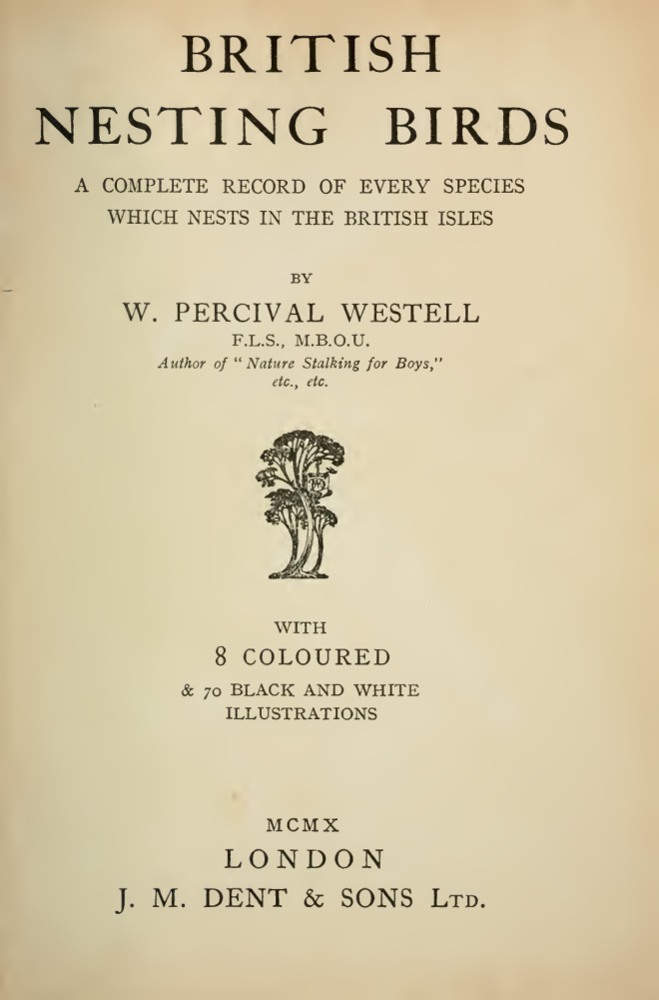 British Nesting Birds book cover