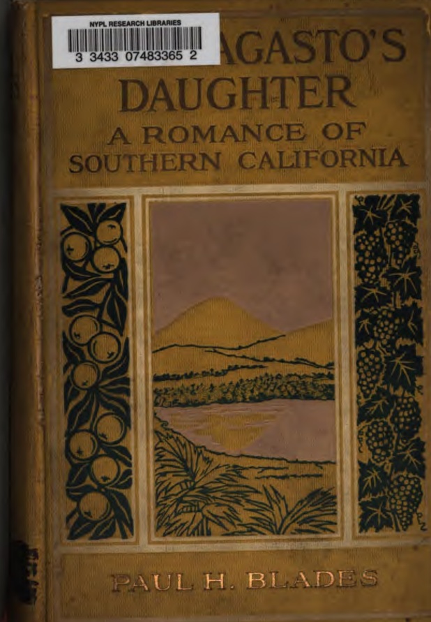 Don Sagasto’s Daughter book cover