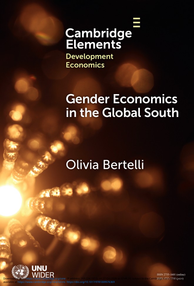Gender Economics in the Global South book cover