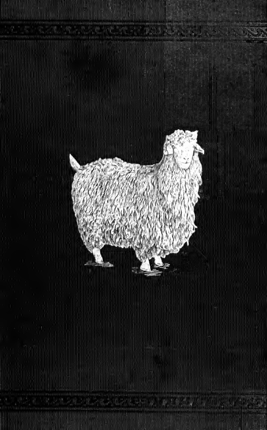A Manual of Angora Goat Raising book cover