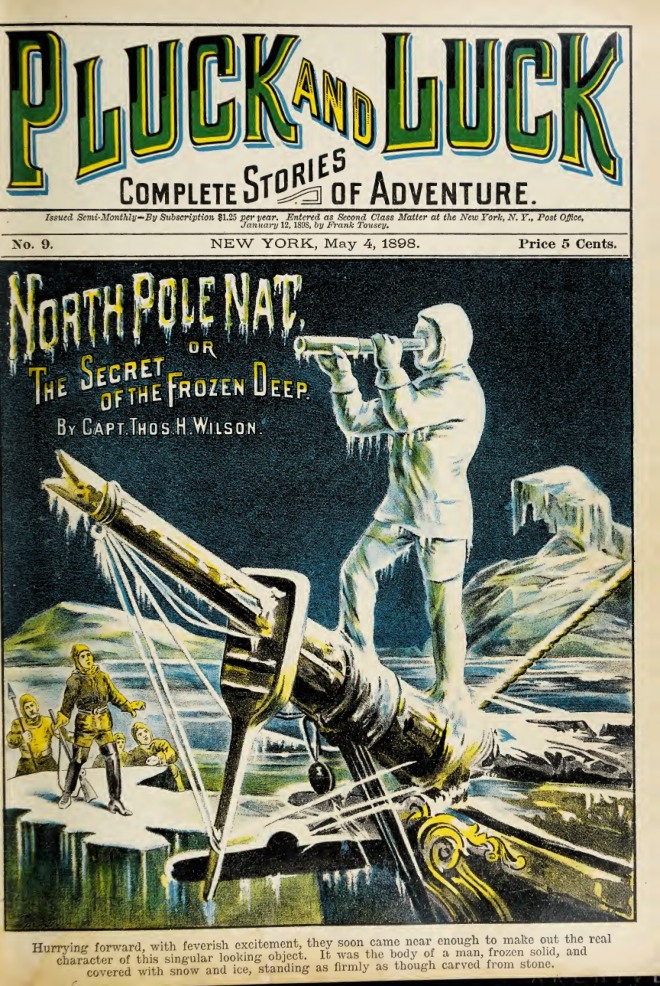 North Pole Nat; or, The Secret of the Frozen Deep book cover