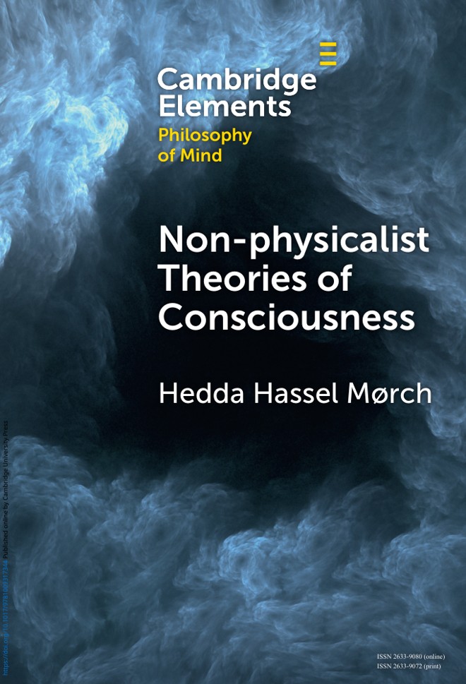 Non-physicalist Theories of Consciousness book cover