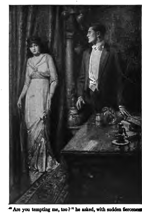 The Brown Study book cover