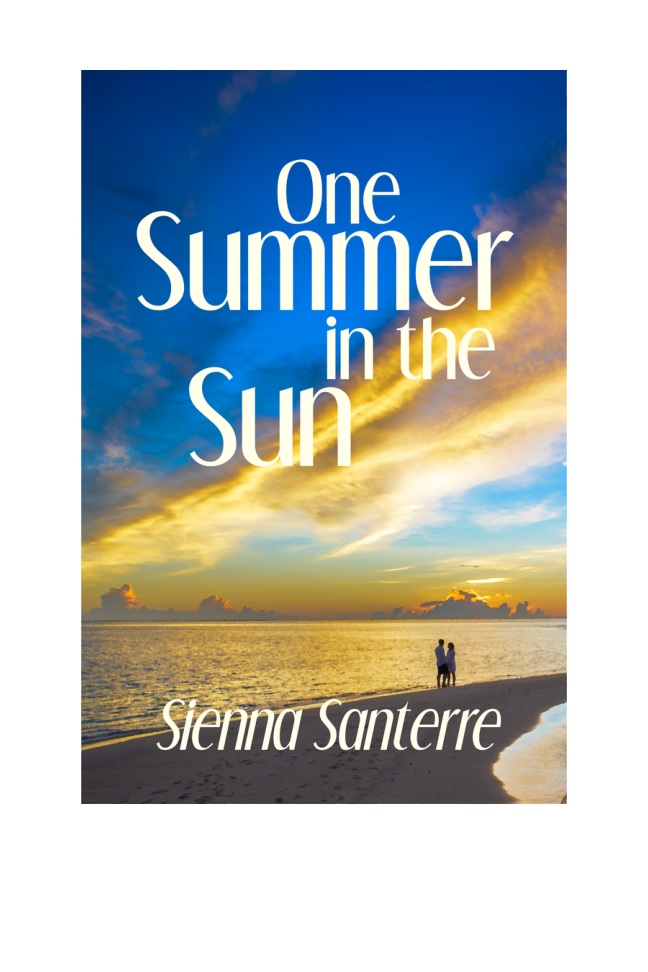 One Summer in the Sun book cover