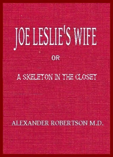 Joe Leslie's Wife; or, A Skeleton in the Closet book cover