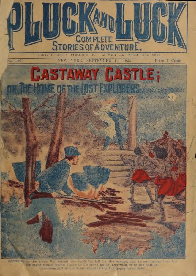 Castaway Castle, or, The home of the lost explorers book cover