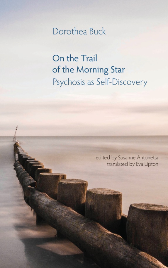 On the Trail of the Morning Star: Psychosis as Self-Discovery book cover