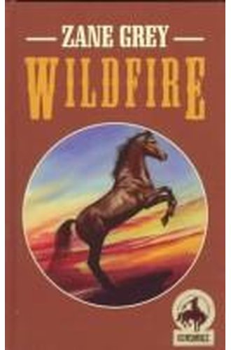 Wildfire book cover