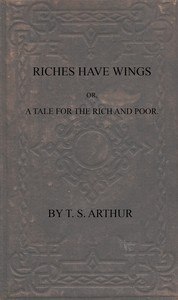 Riches have wings; or, A tale for the rich and poor book cover