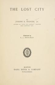 The Lost City book cover